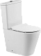 Крышка-сиденье BelBagno Piano BB2111SC с микролифтом