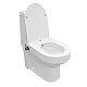 Унитаз-моноблок Azario Brusco AZ-1085B