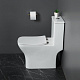 Унитаз-моноблок напольный BelBagno Neon BB8617CPR-MN/SC