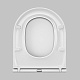 Крышка-сиденье AM.PM Inspire C507853WH с микролифтом