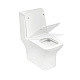 Унитаз-моноблок напольный Royce Smart RCT-133004WH безободковый, с микролифтом