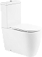 Крышка-сиденье BelBagno BB870SC, с микролифтом