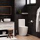 Унитаз-компакт напольный Ceruttispa Bella 8709