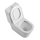Унитаз-моноблок напольный BelBagno Tre BB673CP-MN-TOR/SC