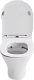 Унитаз подвесной Orange C01 C01-100W