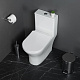 Унитаз-моноблок напольный BelBagno Lounge BB8618CPR-MN/SC