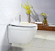 Крышка-сиденье BelBagno BB2031SC с микролифтом, петли хром