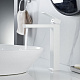 Смеситель для раковины Rose R18C R1811C-1, белый