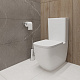 Унитаз-компакт напольный Grohe Clova 39909000