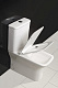 Унитаз-компакт напольный BelBagno Romano BB248CPR-P