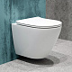 Унитаз подвесной EvaGold K505