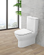 Унитаз-компакт напольный BelBagno BB8134CPR/SC