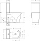 Унитаз-компакт напольный BelBagno Flay-Tor BB2149CP-TOR/SC