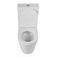 Унитаз-компакт напольный BelBagno Flay-Tor BB2149CP-TOR/SC