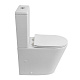 Унитаз-компакт напольный BelBagno Flay-r BB2149CPR/SC