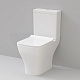 Унитаз-компакт напольный Damixa Titan DX78C8600SC