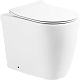 Крышка-сиденье BelBagno BB2034SC с микролифтом