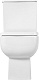 Унитаз-компакт напольный BelBagno Aurora BB8604CPR/SC