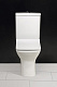 Унитаз-компакт напольный BelBagno Romano BB248CPR-P