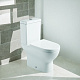Унитаз-компакт напольный Olive'S Cadiz CD31126DP