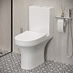 Унитаз-компакт напольный Damixa Skyline DX35C8600SC