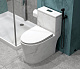 Унитаз-моноблок напольный EvaGold SM9609