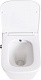 Унитаз подвесной BelBagno Due BB3103CHR-BS/SC