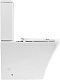 Унитаз-компакт напольный BelBagno Marmi BB052CPR